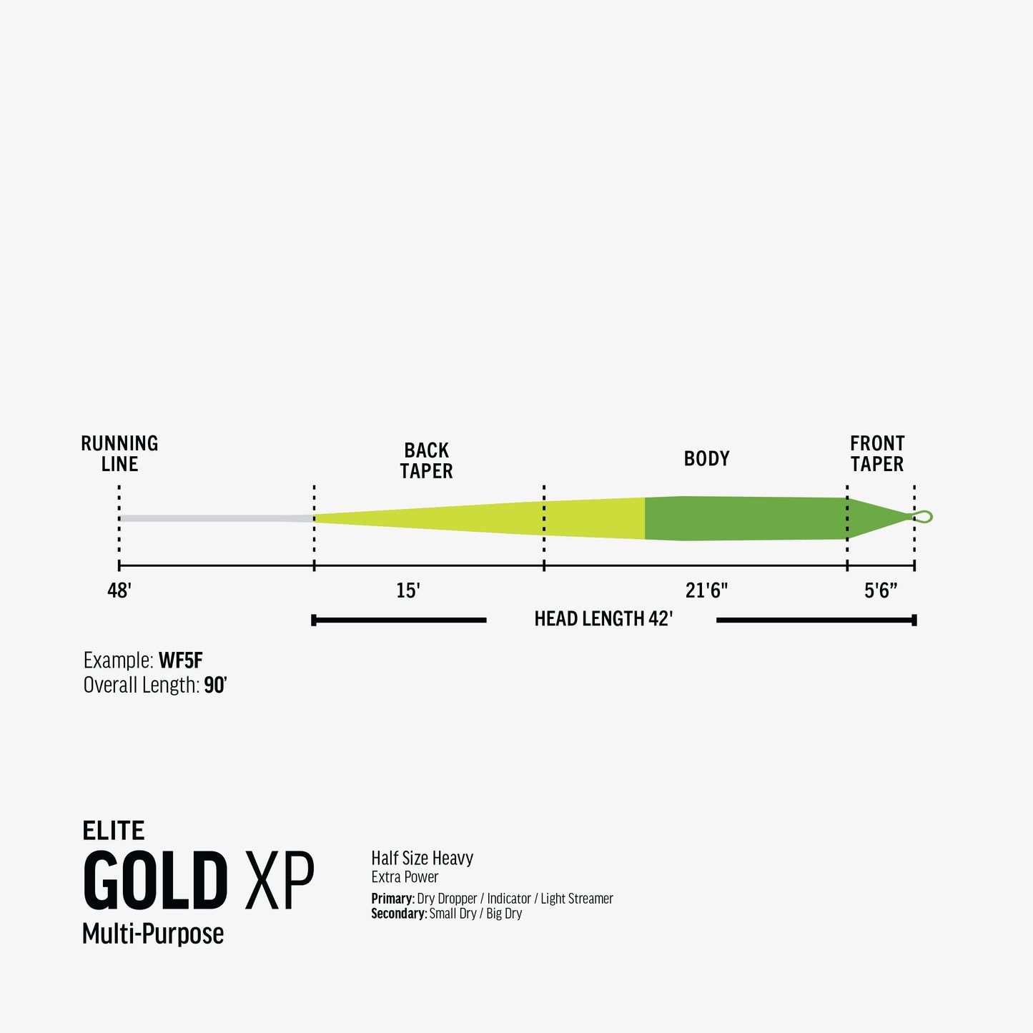 Rio - Elite Gold Xp - Fly Line - Arbor Anglers