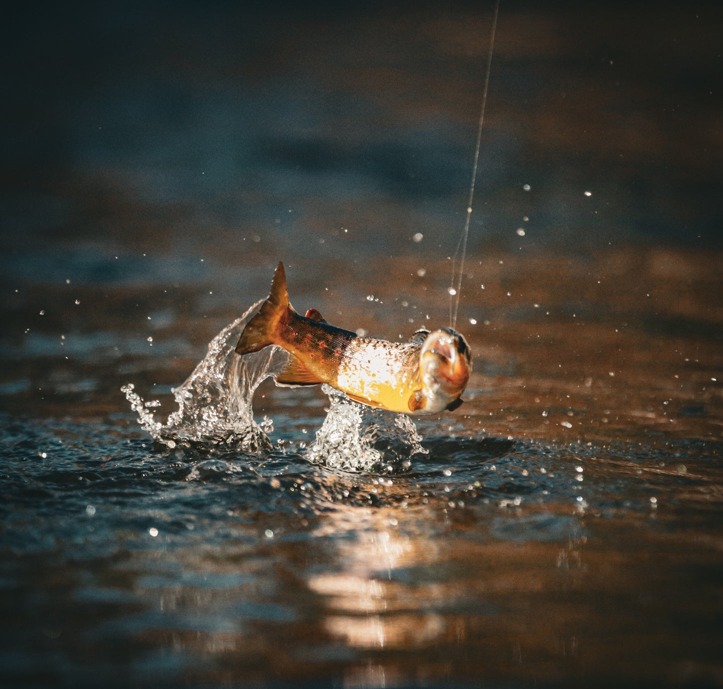 Discovering how to fish the Big Thompson