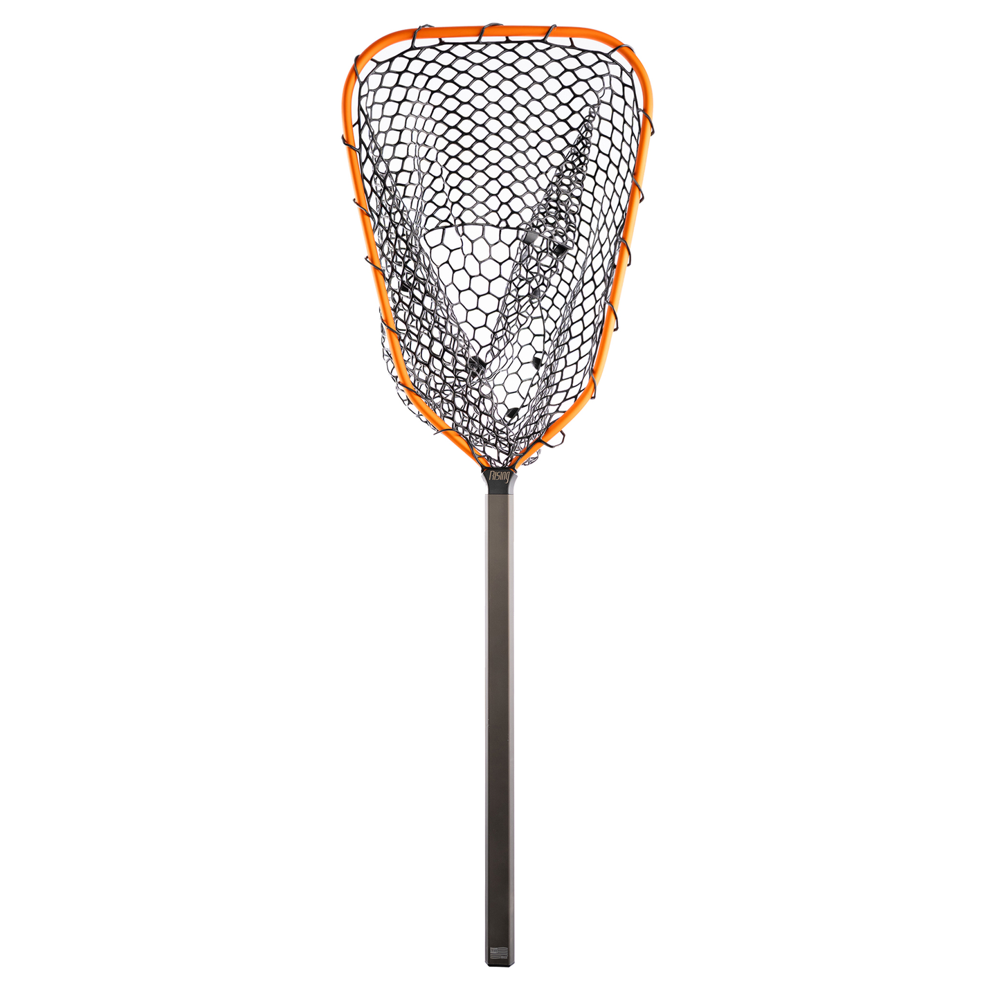 Rising - Lunker Net - 2026 ver