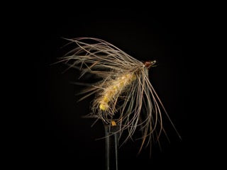 Fly Tying Demo: Johnathan Atunenz - Saturday, Jan 24, 2026 - 10am-noon