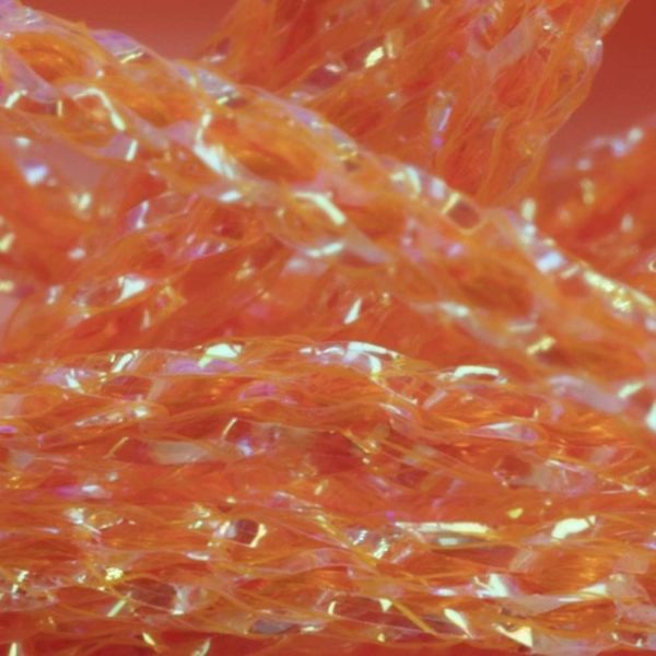 Body n Rib - Arbor Anglers