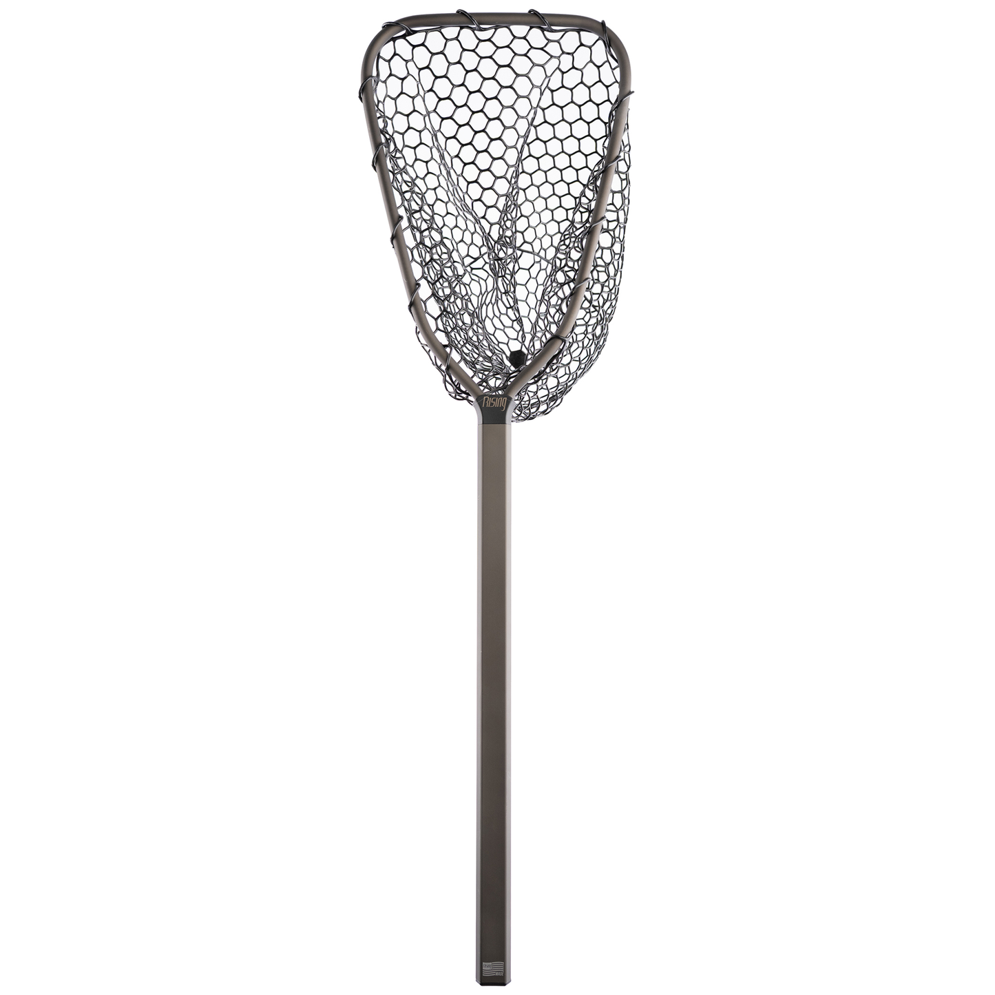 Rising - Brookie Net - 2026 ver
