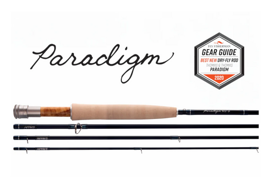 T&T - Paradigm - Arbor Anglers