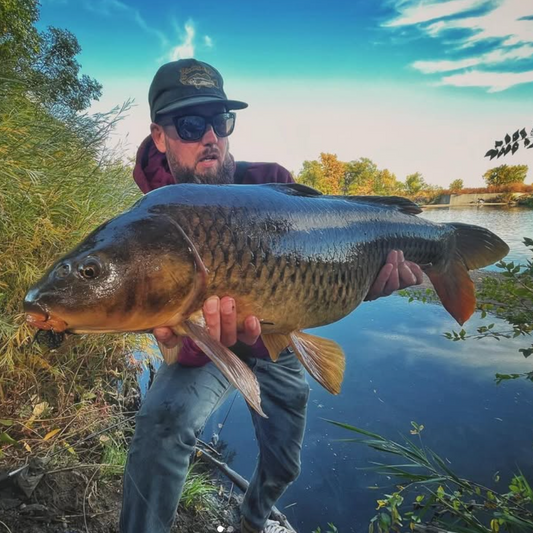 Mastering Colorado Carp