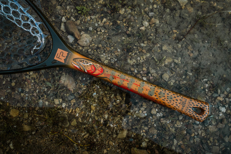 FP - Nomad Canyon Net